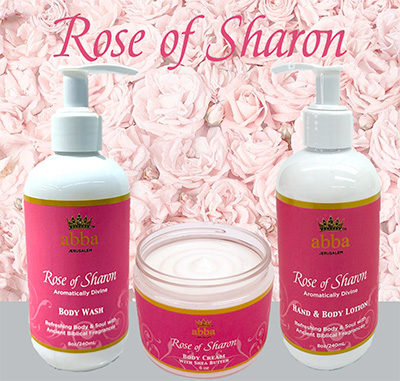 COMING SOON! Rose of Sharon
