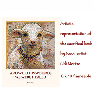 SACRIFICIAL LAMB PRINT FROM ISRAEL 8x10