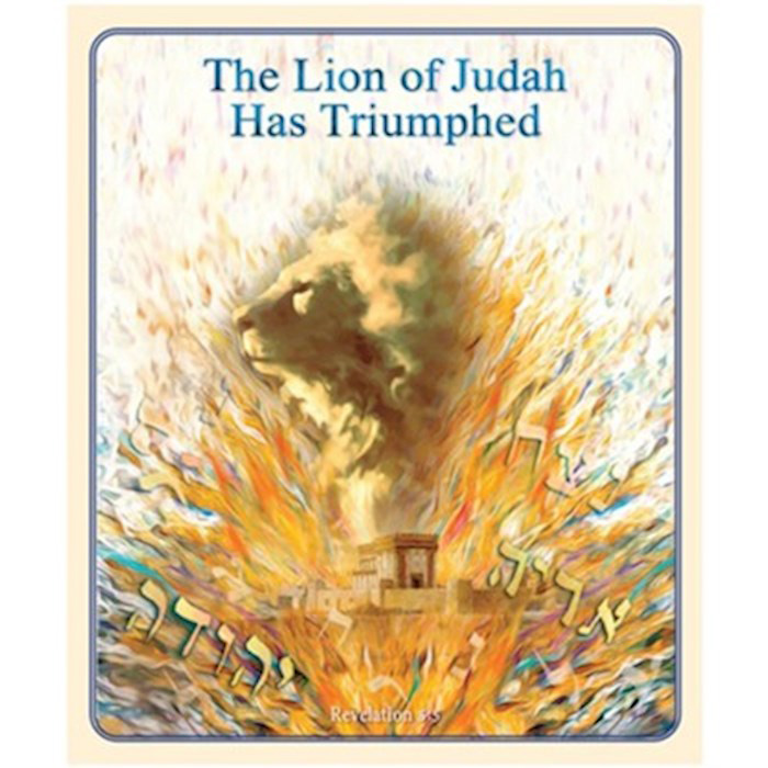 BLANKET - LION OF JUDAH HAS TRIUMPHED 48X60